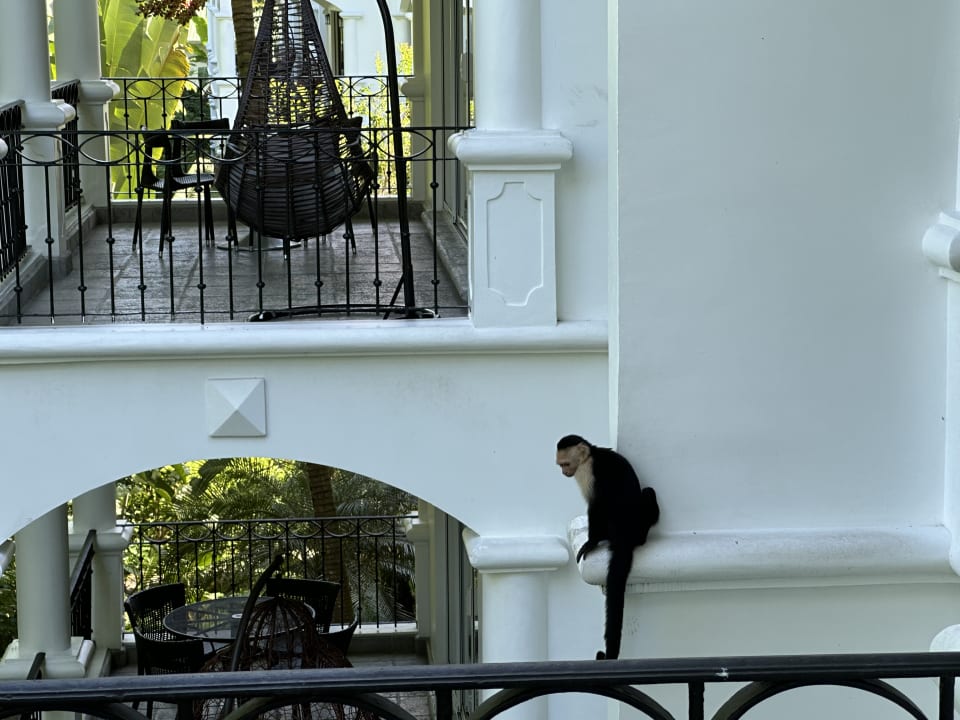 Sonstiges Shana Hotel & Residence