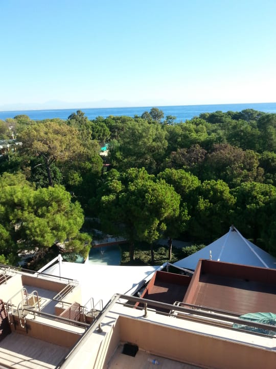 Garten Balmy Foresta