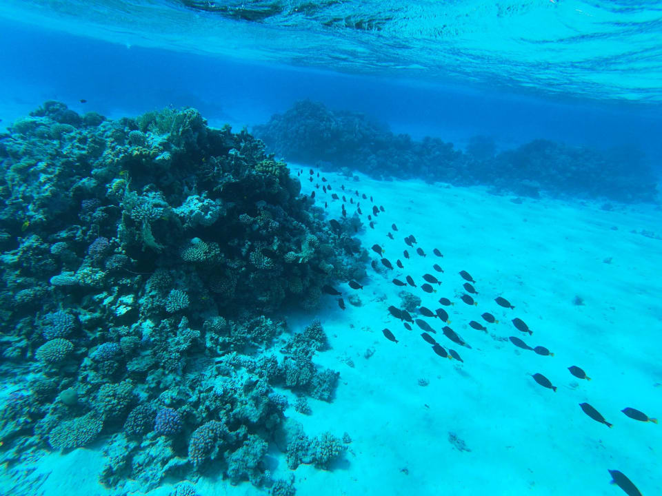 Strand Sentido Caribbean World Soma Bay