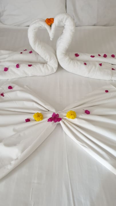 Zimmer Glamour Resort & Spa