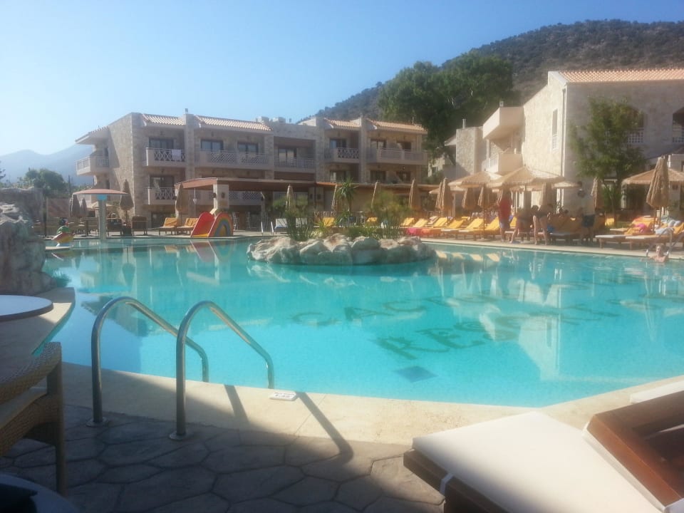 Der Pool Cactus Royal