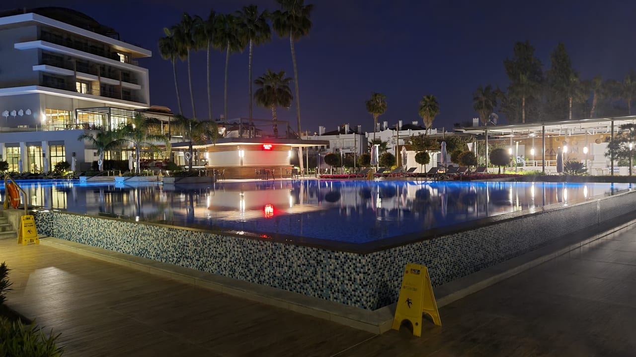 Pool Acanthus Cennet Barut Collection