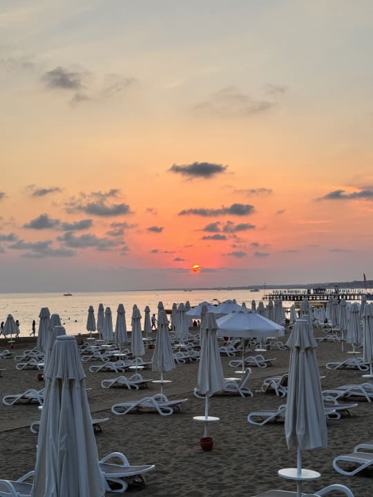 Strand PALOMA Perissia