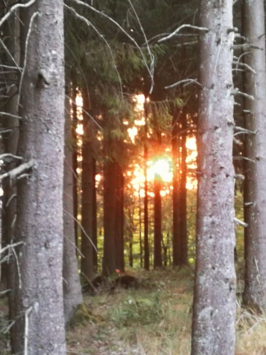 Außenansicht Der schöne Asten - Resort Winterberg