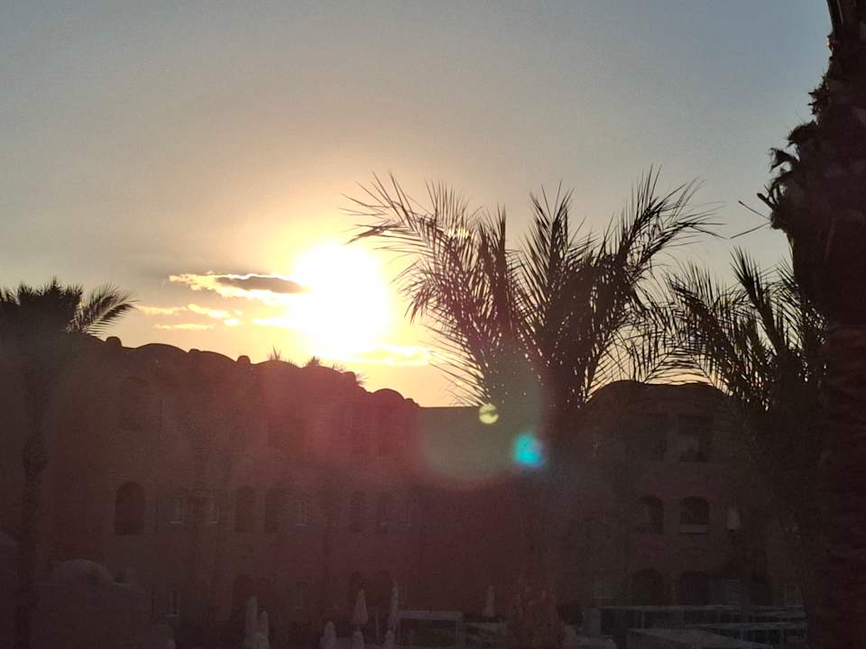 Gartenanlage Jaz Makadi Oasis Resort