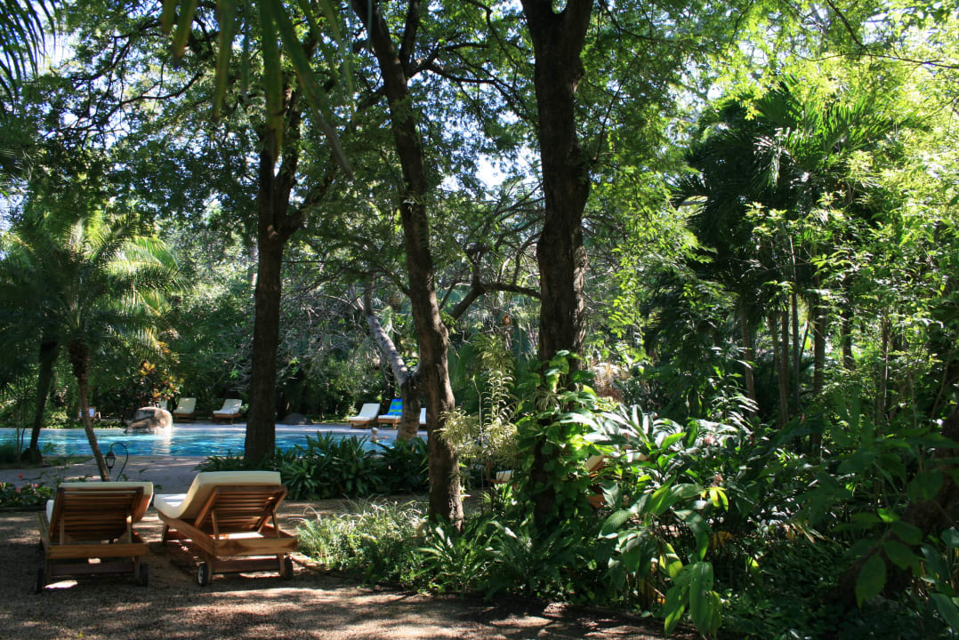 Gartenanlage Capitán Suizo Beachfront Boutique Hotel