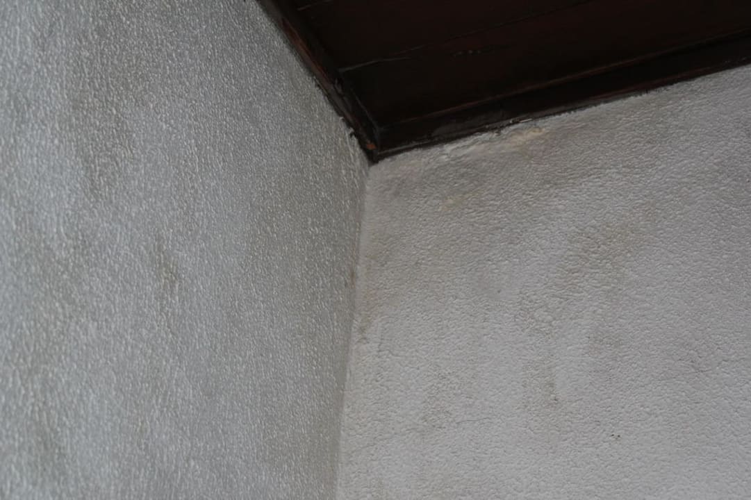 Schimmelbefall an der Zimmerwand/Decke Hotel Cinnamon Citadel Kandy