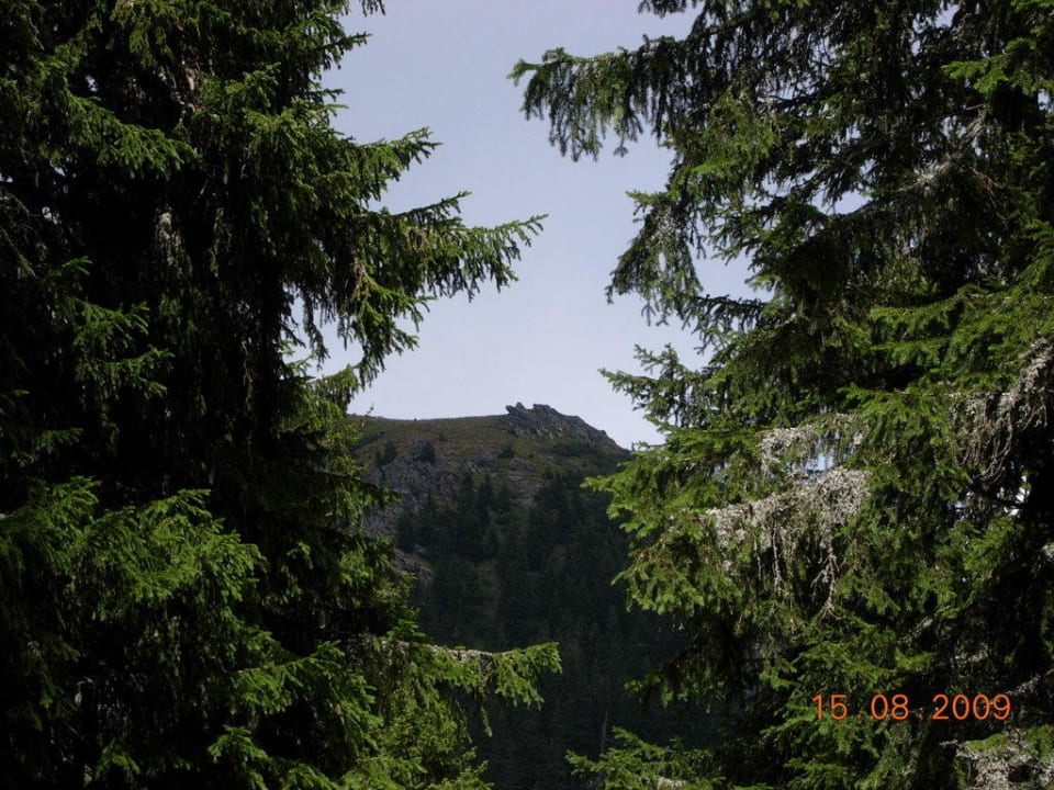 Natur pur Alpengasthof Salzstiegelhaus