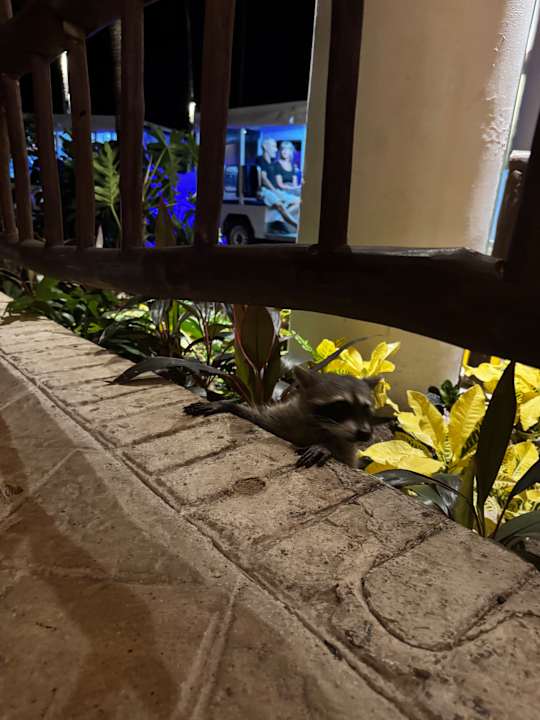 Sonstiges Bahia Principe Grand Tulum