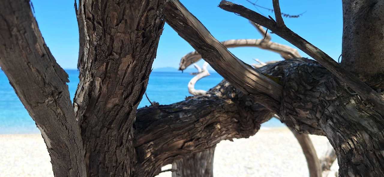 Sonstiges Lucas Didim Resort