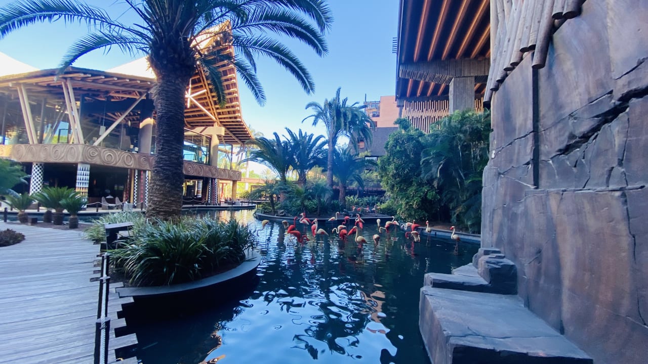 Außenansicht Lopesan Baobab Resort