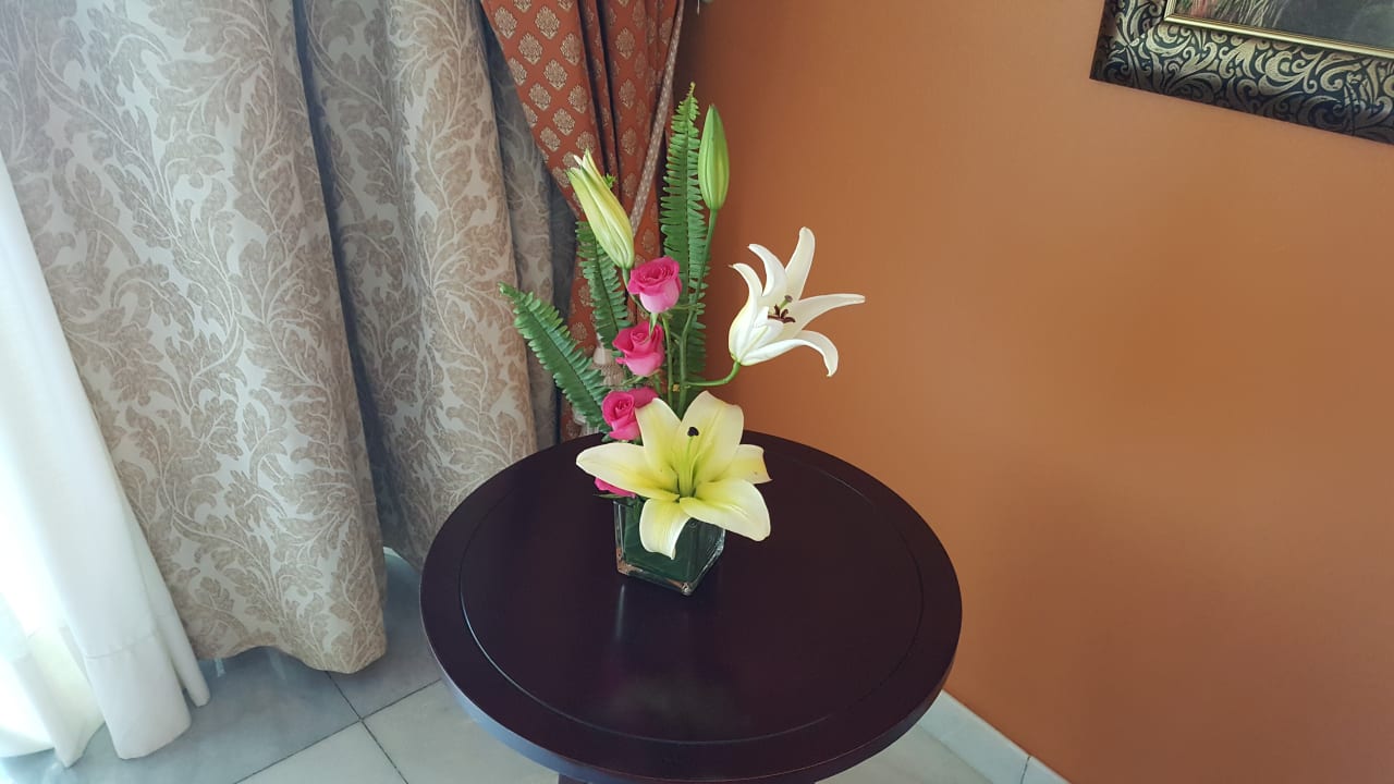 Zimmer JOIA Paraiso by Iberostar