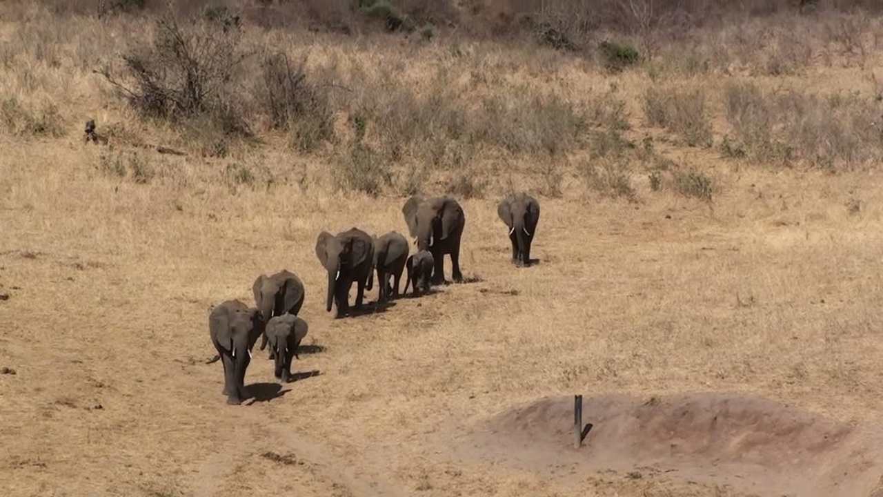 Elefanten kommen zum Wasserloch Rhino Valley Lodge