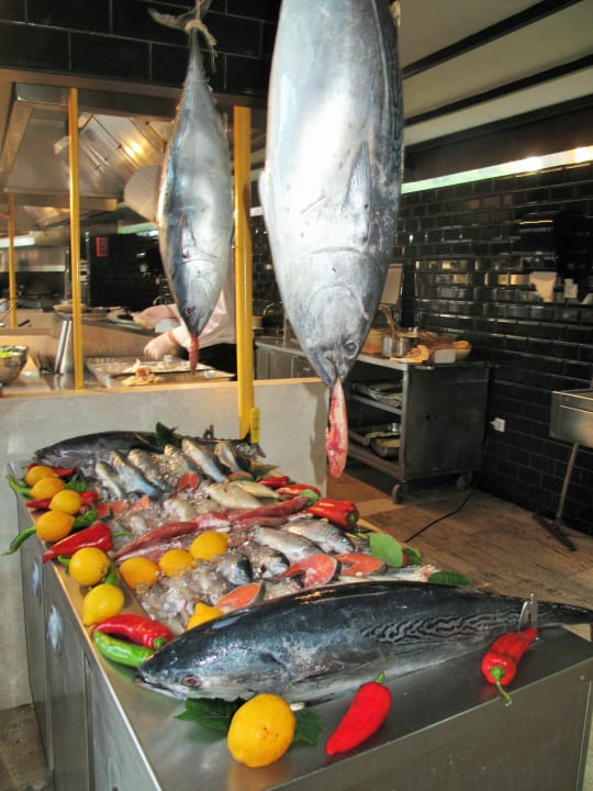 Gastro Turquoise Hotel