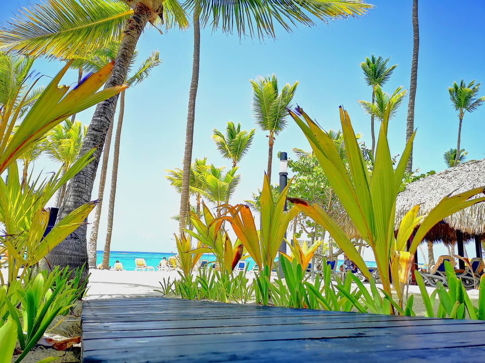 Strand Hotel Riu Bambu