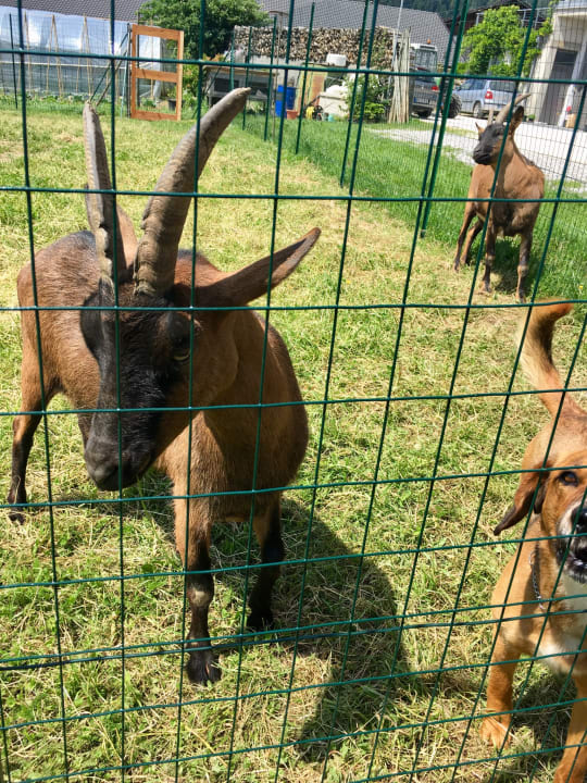 Gartenanlage Hotel Agritur Anselmi