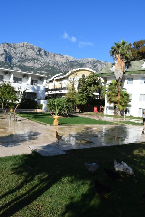 Gartenanlage Armas Gül Beach