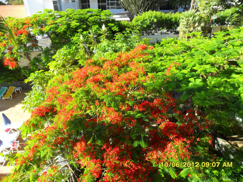 Blick vom Balkon allsun Hotel Lucana