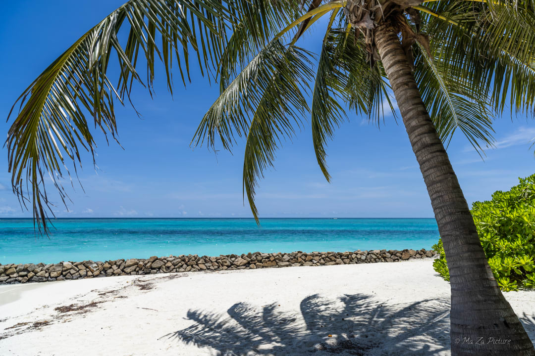 Strand Summer Island Maldives