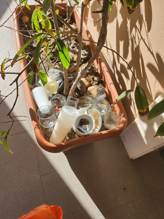 Sonstiges SBH Hotel Taro Beach