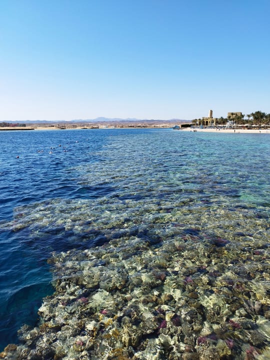 Strand Pickalbatros Sands Hotel - Port Ghalib