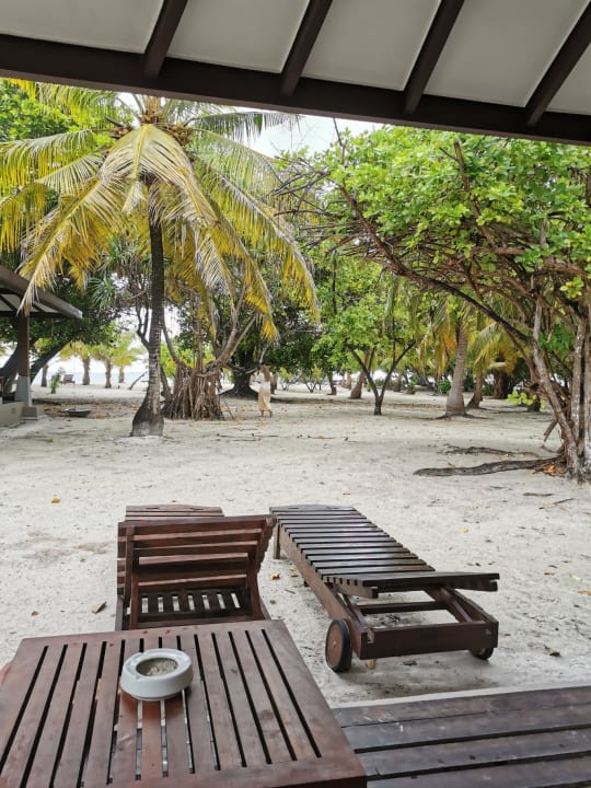 Strand Adaaran Select Meedhupparu Island Resort - Premium All Inclusive