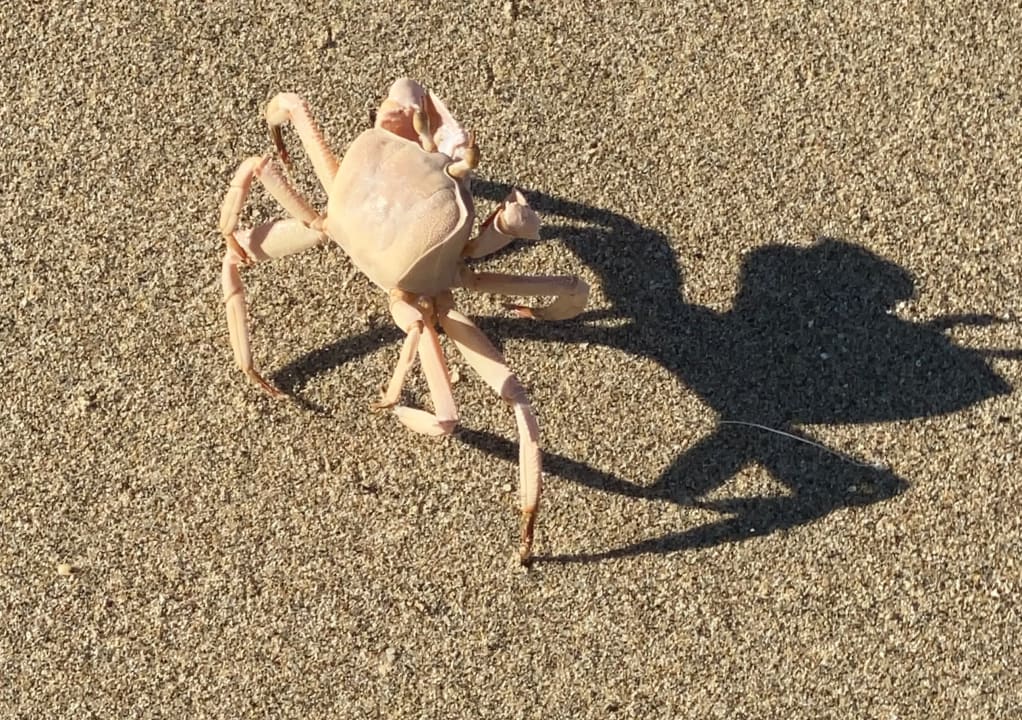 Strand Lahami Bay Beach Resort