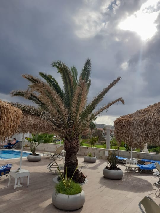 Pool Hotel Odyssia Beach