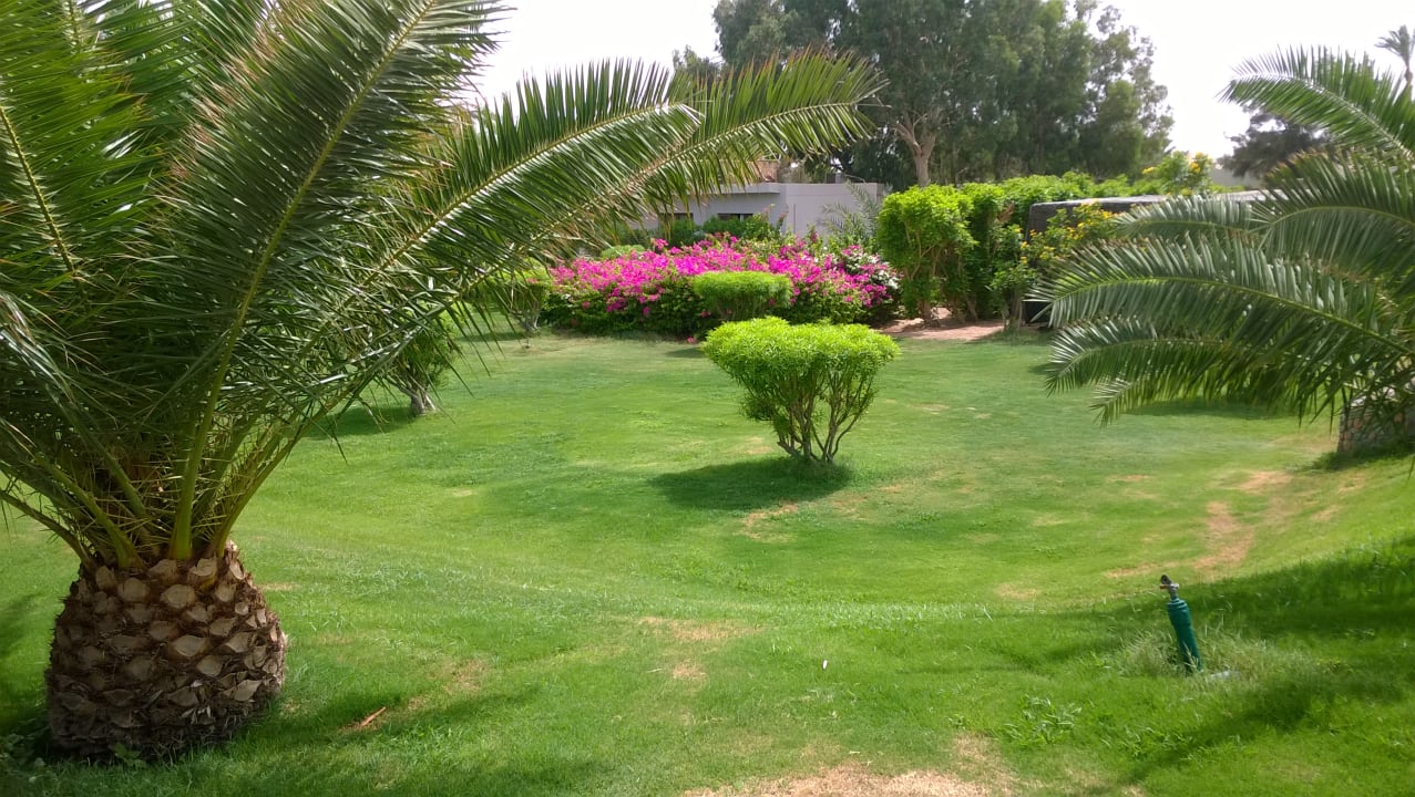 Gartenanlage Fort Arabesque Resort, Spa & Villas