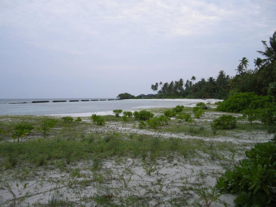 Strand Beach Bungalows Kuredu Kuredu Island Resort & Spa