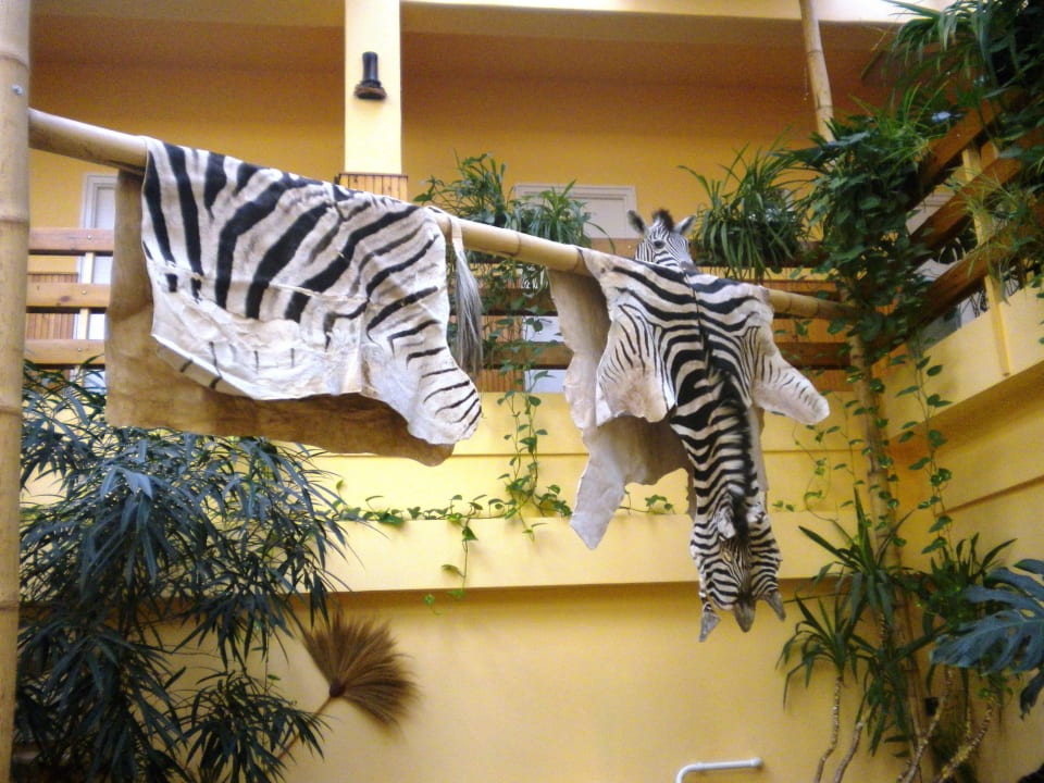 Hotel Jungle Hotel Dzsungel