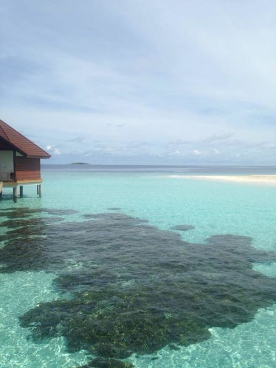 Wasserbungalow ROBINSON MALDIVES