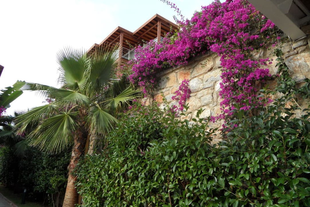 Sciana pod bungalowem Delta Hotels By Marriott Bodrum