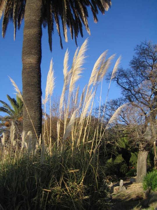 Im Garten  Hotel Es Port
