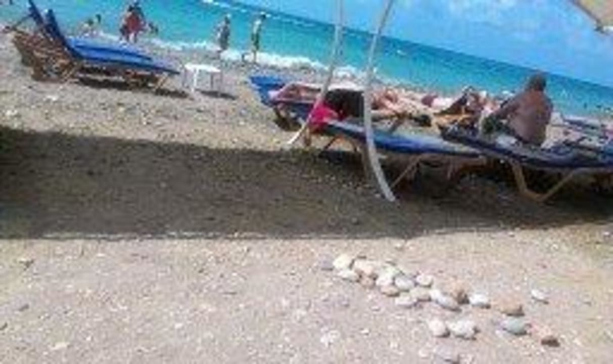 Überall Kieselsteine und Unrat Alan Xafira Deluxe Resort & Spa