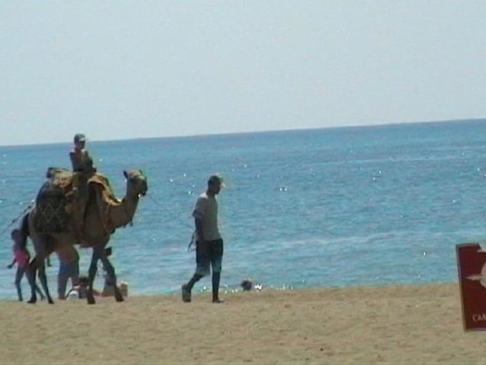 Kamelreiten am Strand Belek Beach Resort Hotel