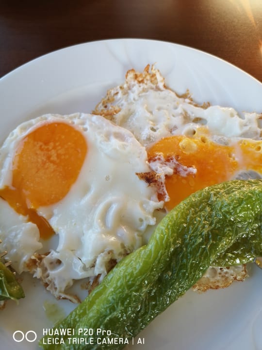 Gastro Gardenia Hotel