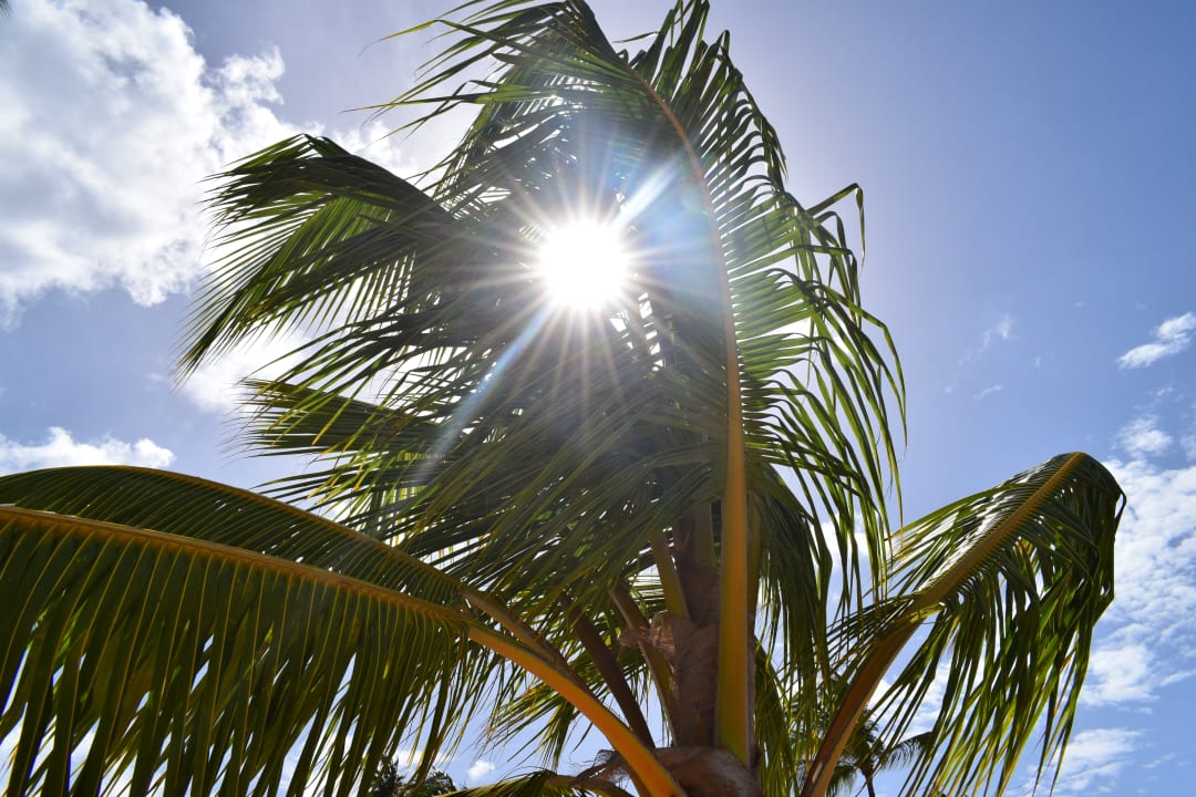 Strand Bahia Principe Grand El Portillo