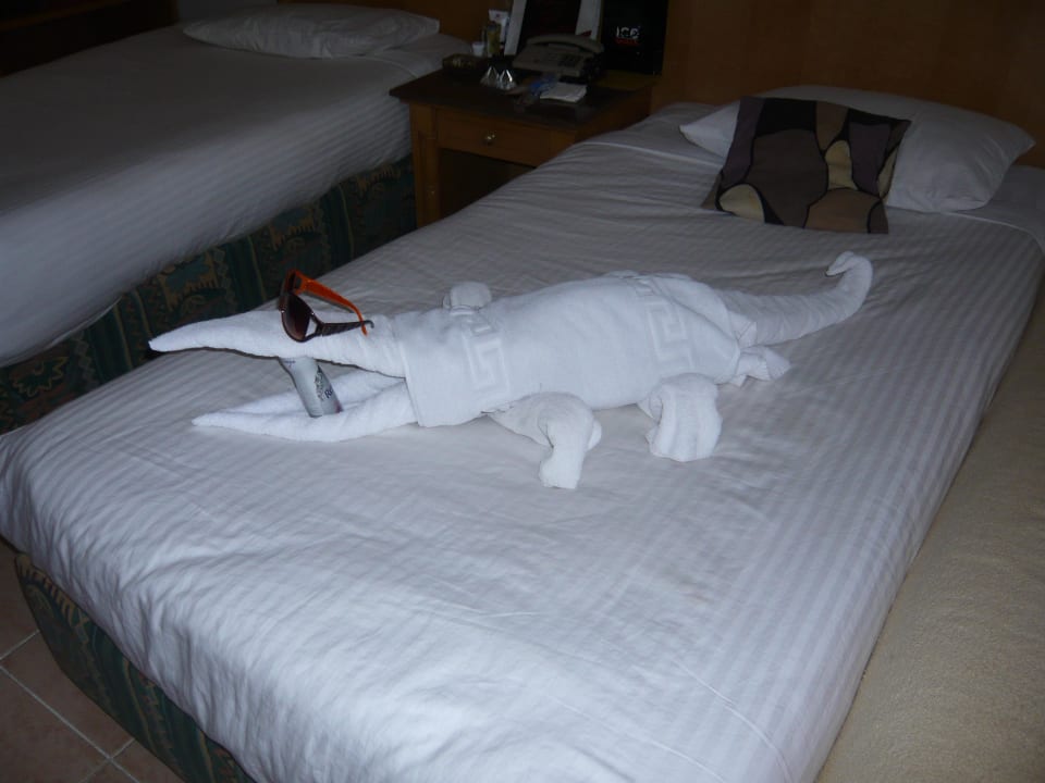 A kolejnym razem krokodyl Pickalbatros Aqua Park Resort - Hurghada