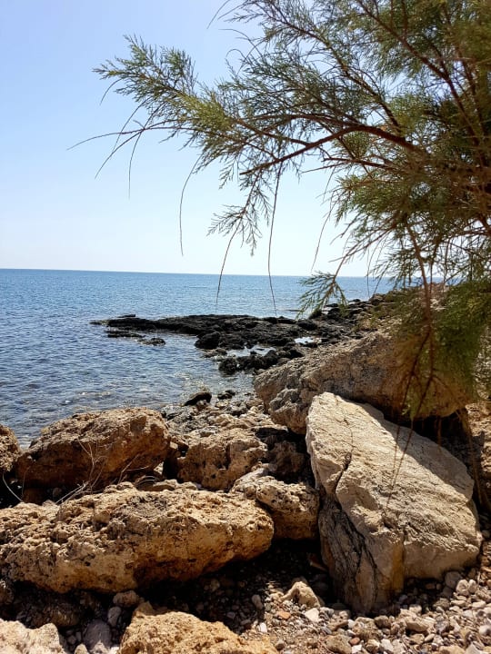 Strand Hotel Lido Star