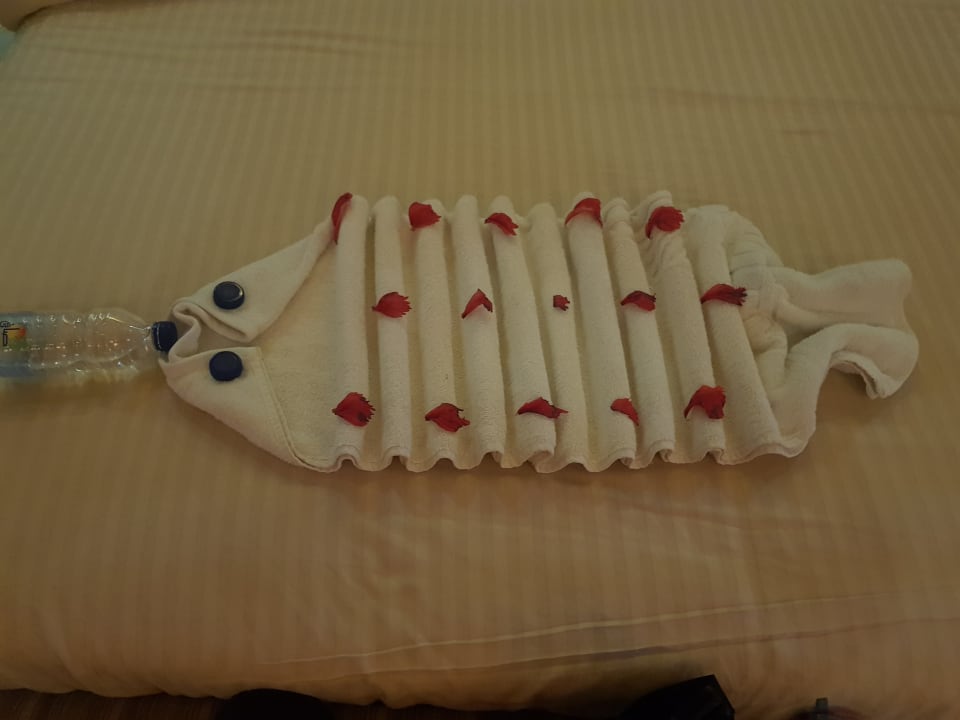 Zimmer Grand Waterworld Makadi & Family Star Makadi