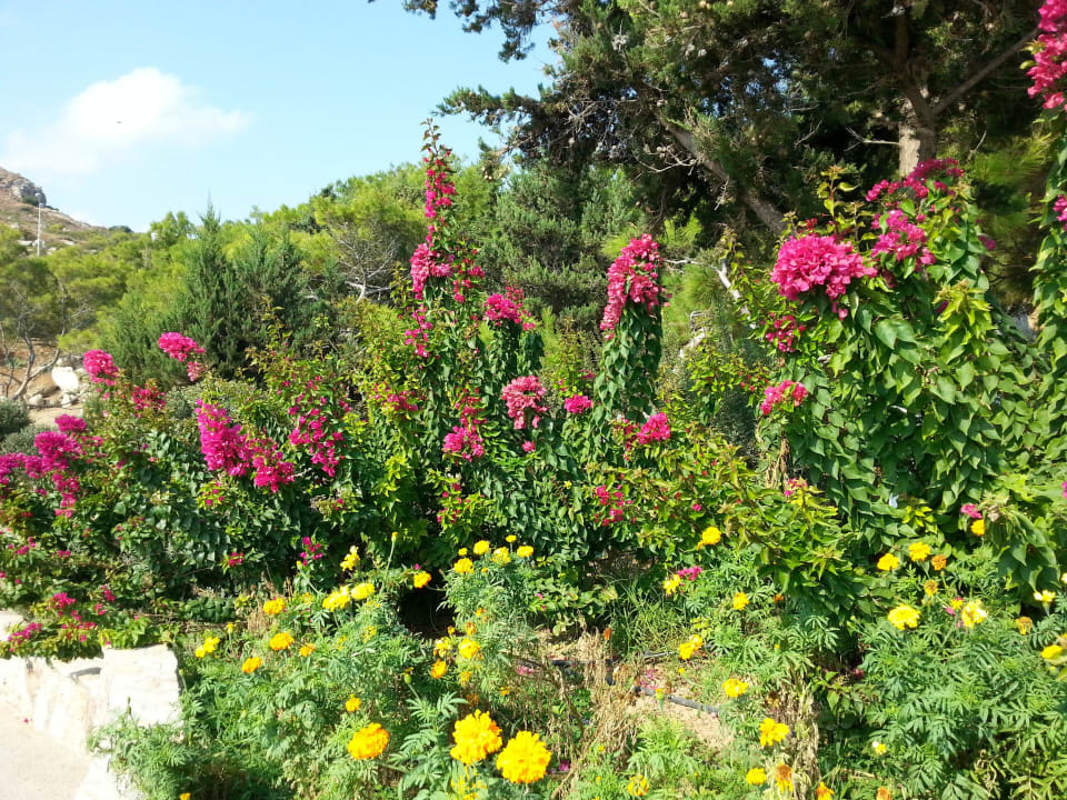 Schön angelegte Gartenanlage Hotel Kalithea Horizon Royal