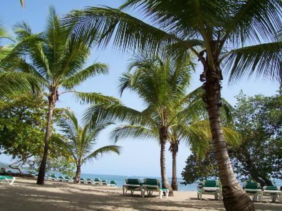 Strand Playabachata Hotel