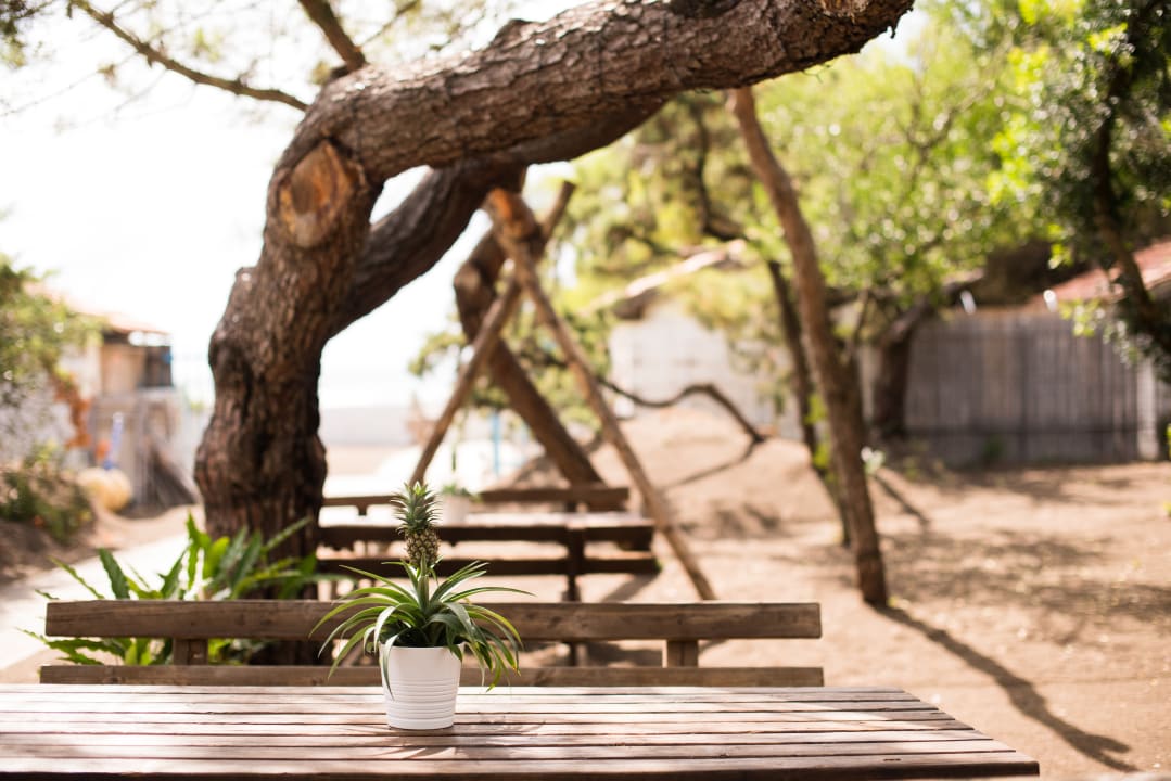 Gastro CSA Hotel - Beach & Park
