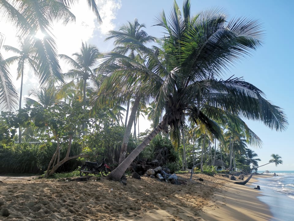 Strand Viva Wyndham Samaná