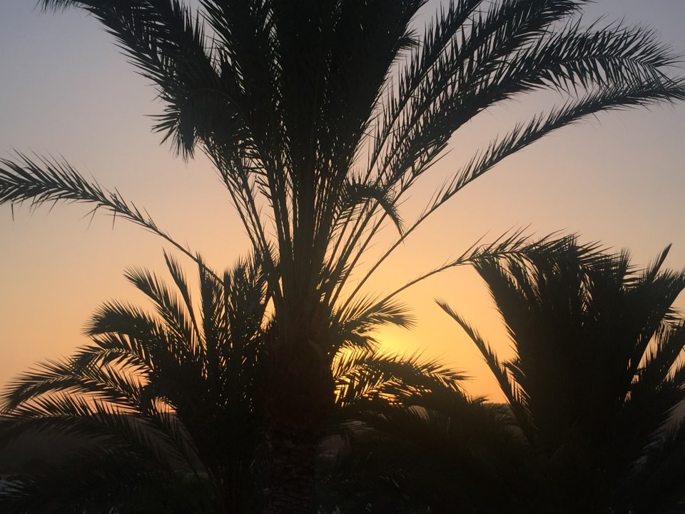 Ausblick Sunprime Atlantic View