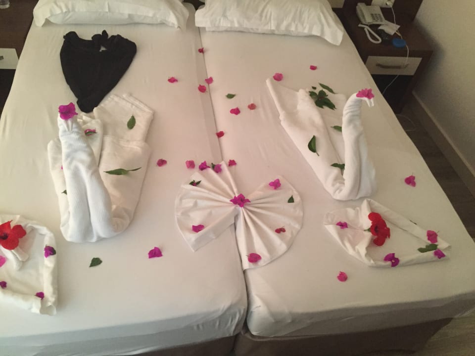 Zimmer Side Alegria Hotel & Spa - Adults only +16