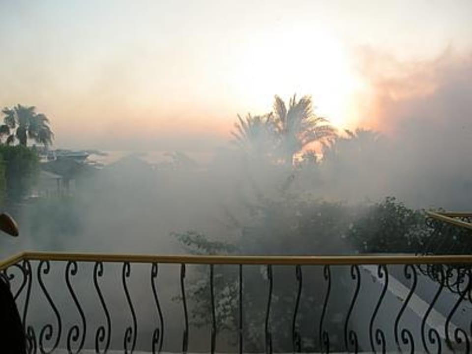 Die stinkende Wolke Lotus Bay Beach Resort