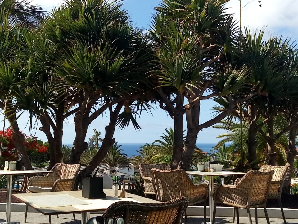 Gastro allsun App.-Hotel Esquinzo Beach
