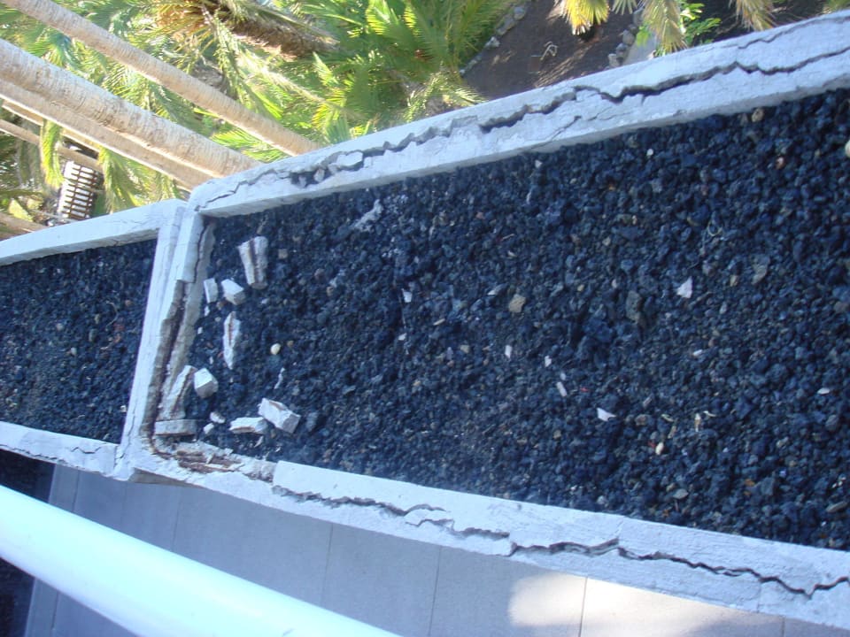 Blumenkästen Melia La Palma Hotel